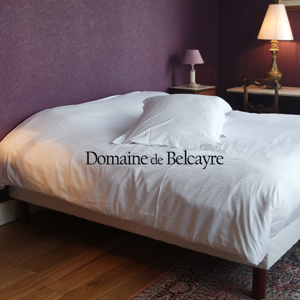 domainedebelcayre.com